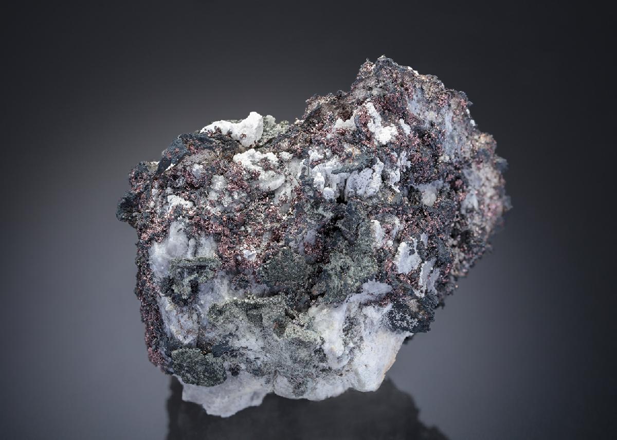 CC27633 specimen image