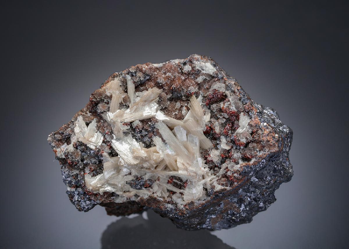 CC27635 specimen image