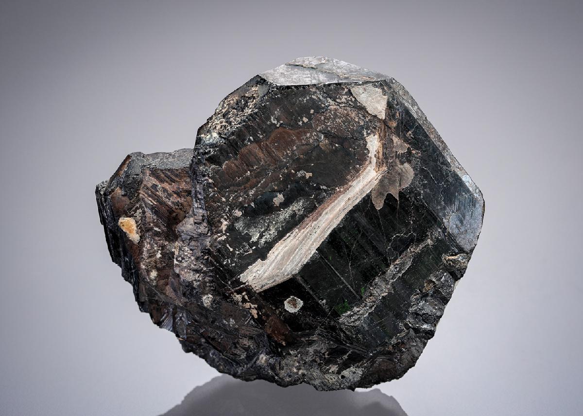 CC27645 specimen image