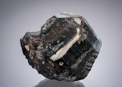 CC27645 specimen image