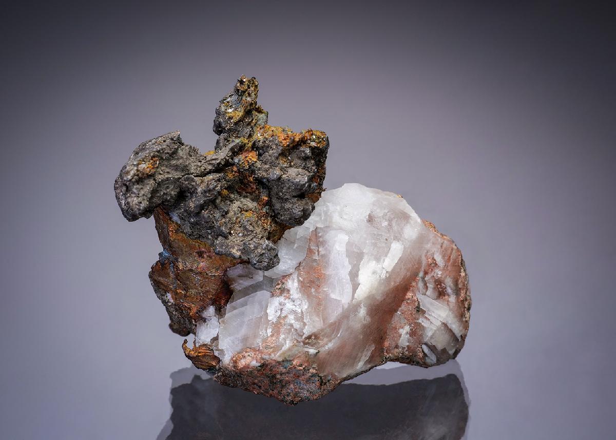 CC27663 specimen image