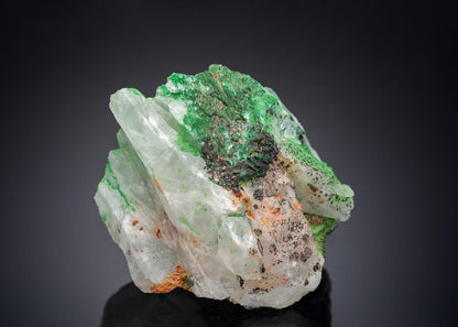 CC27667 specimen image