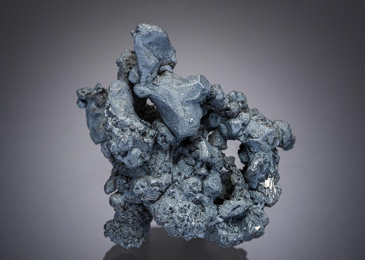 CC27675 specimen image