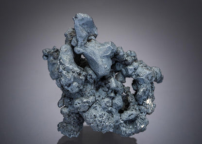 CC27675 specimen image
