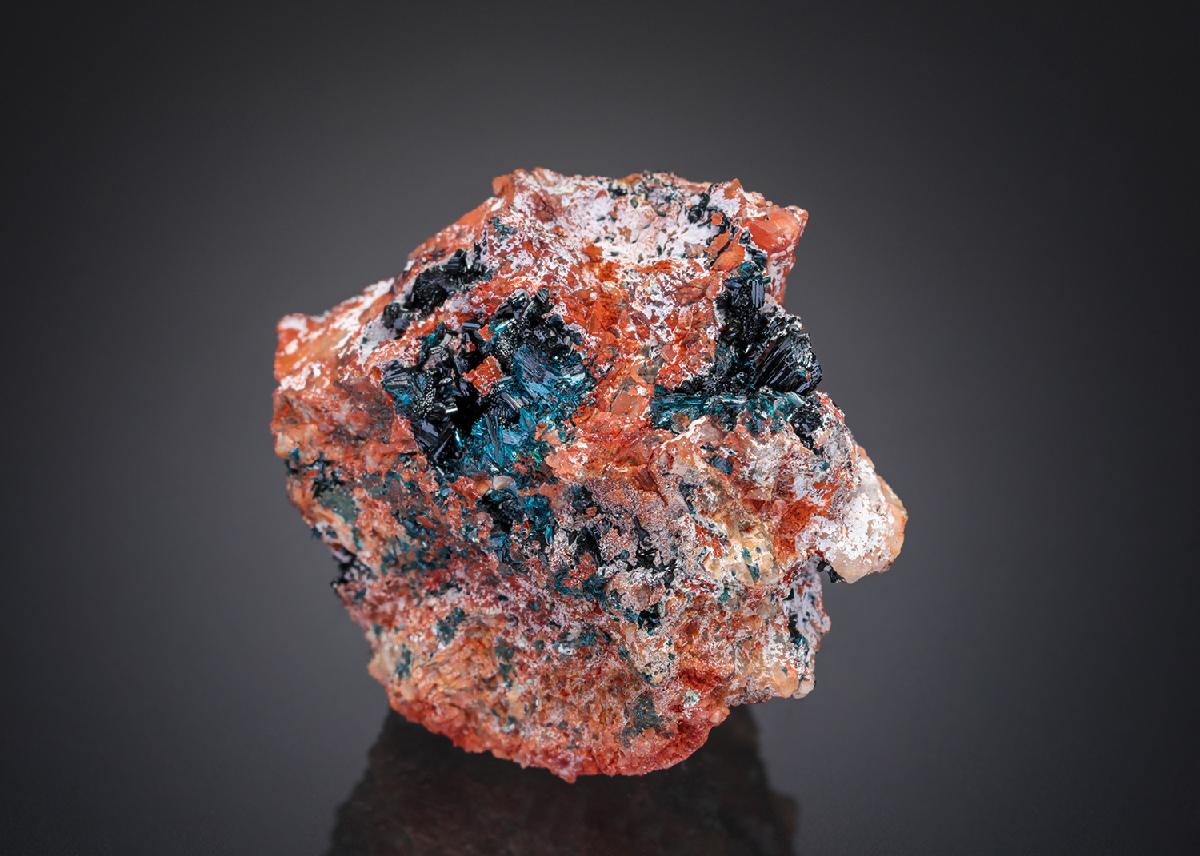 CC27679 specimen image