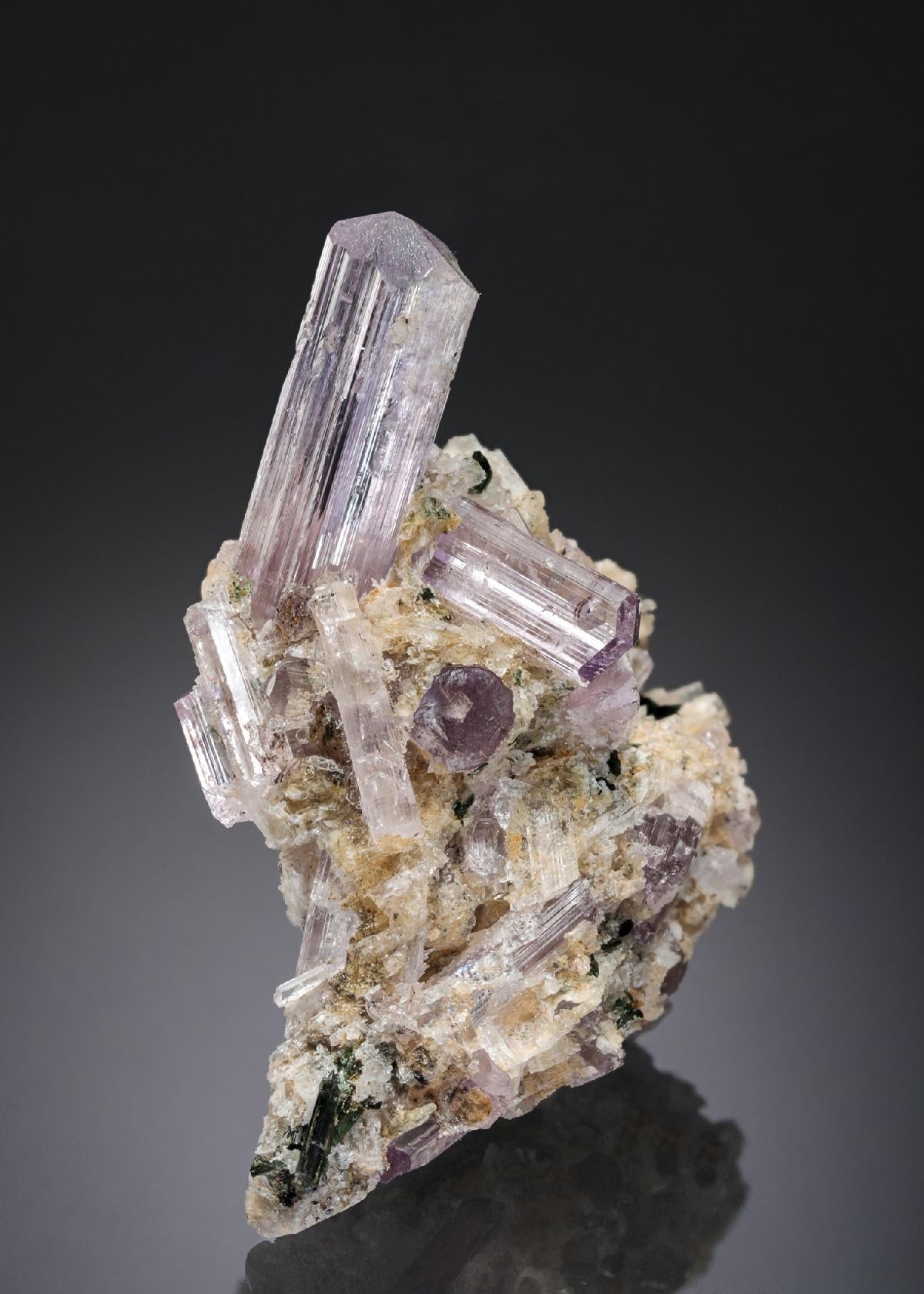 CC27685 specimen image