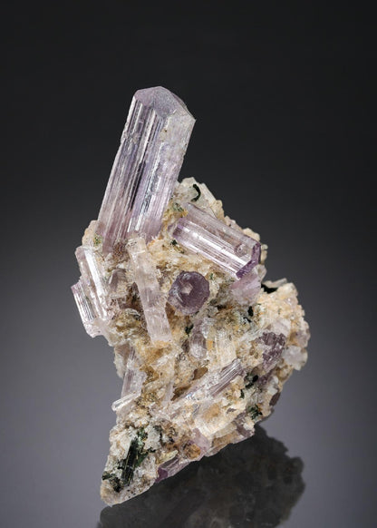 CC27685 specimen image
