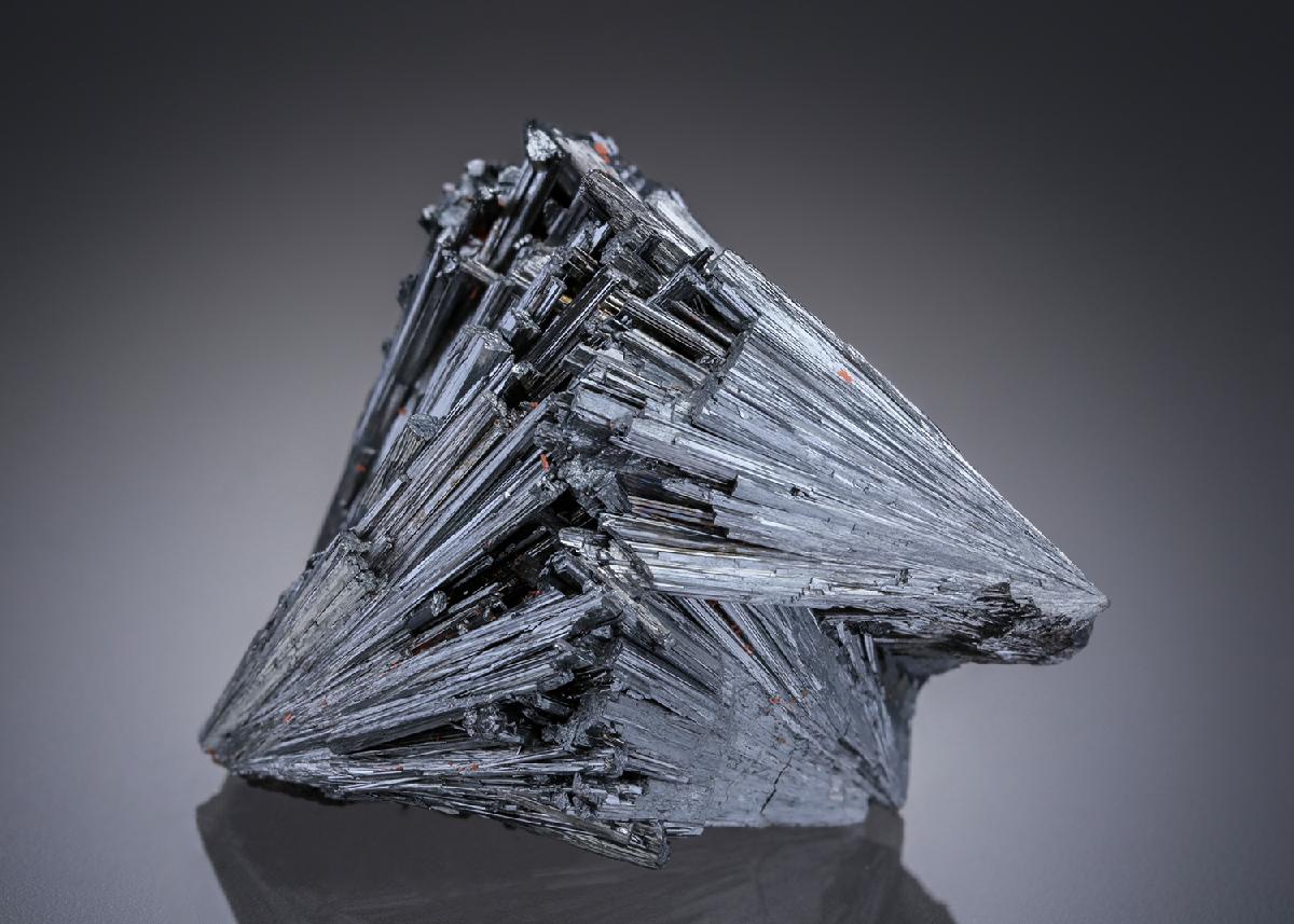 CC27691 specimen image