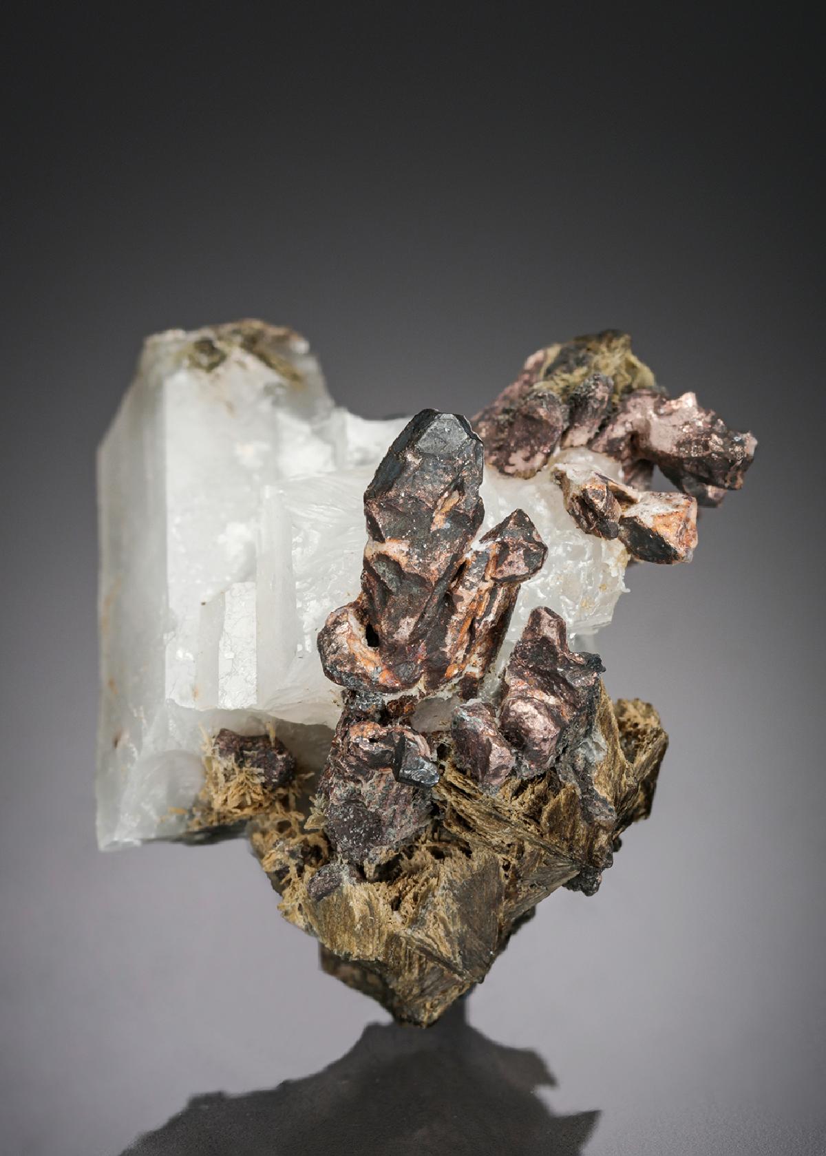 CC27699 specimen image