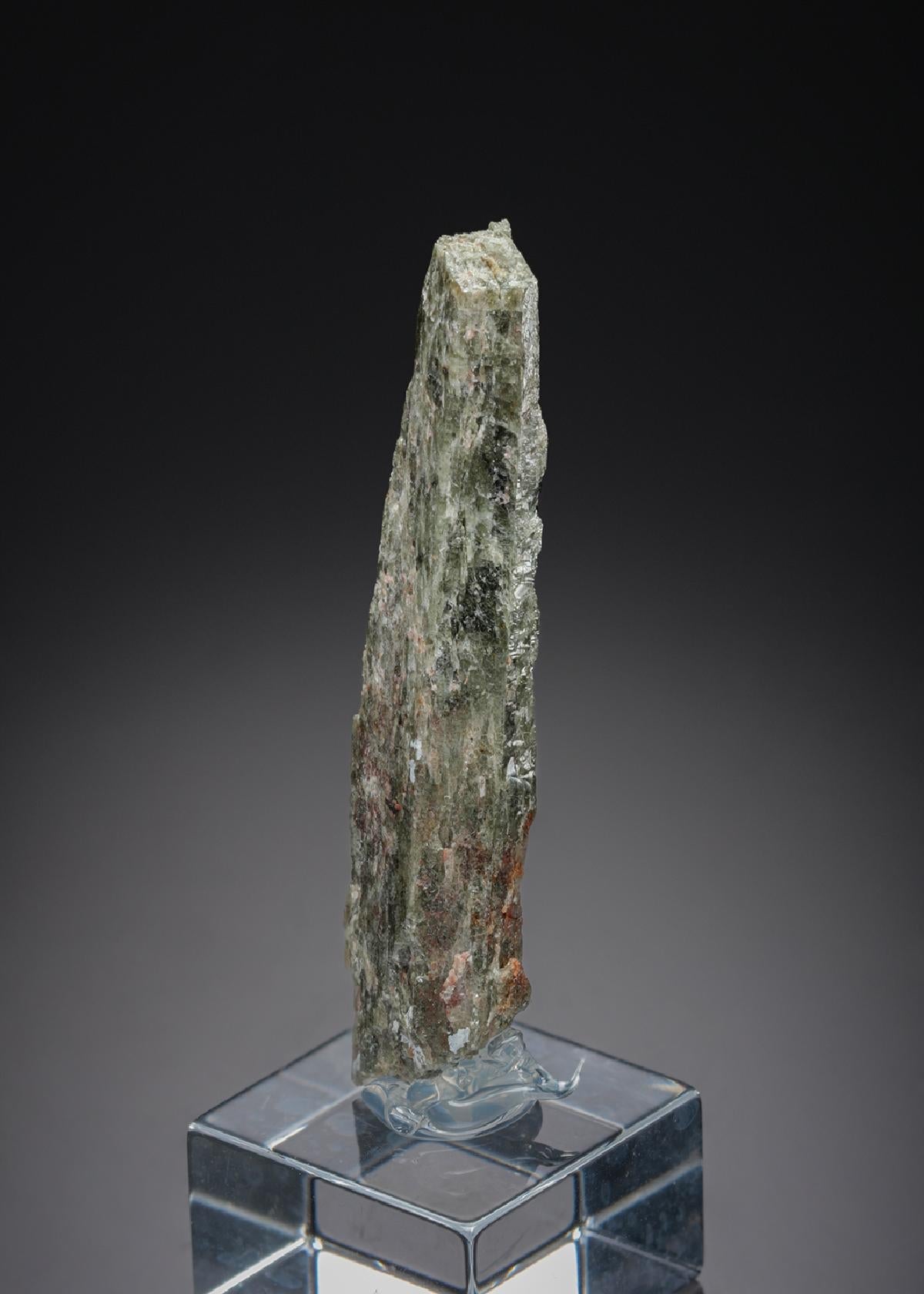 CC27711 specimen image