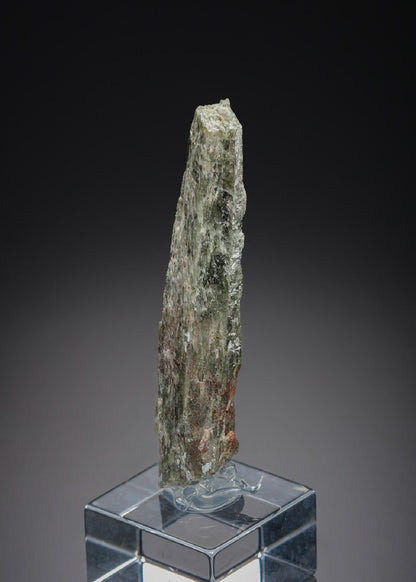 CC27711 specimen image