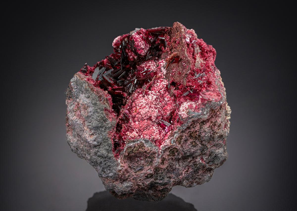 CC27719 specimen image