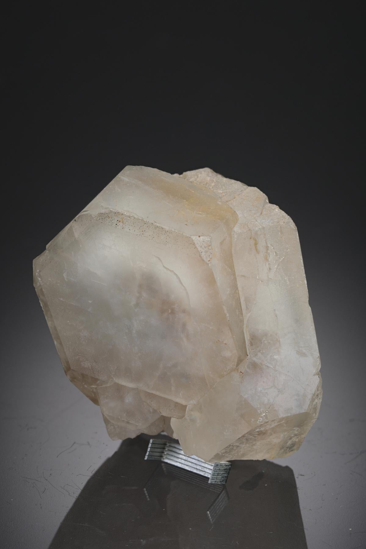 CC27725 specimen image
