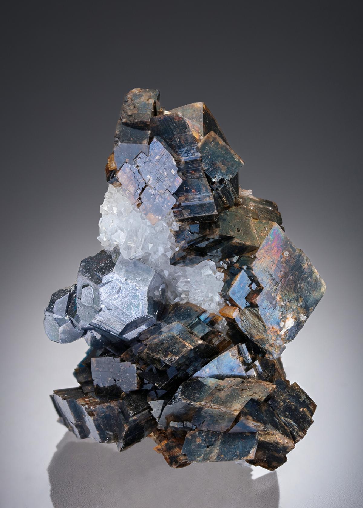 CC27727 specimen image