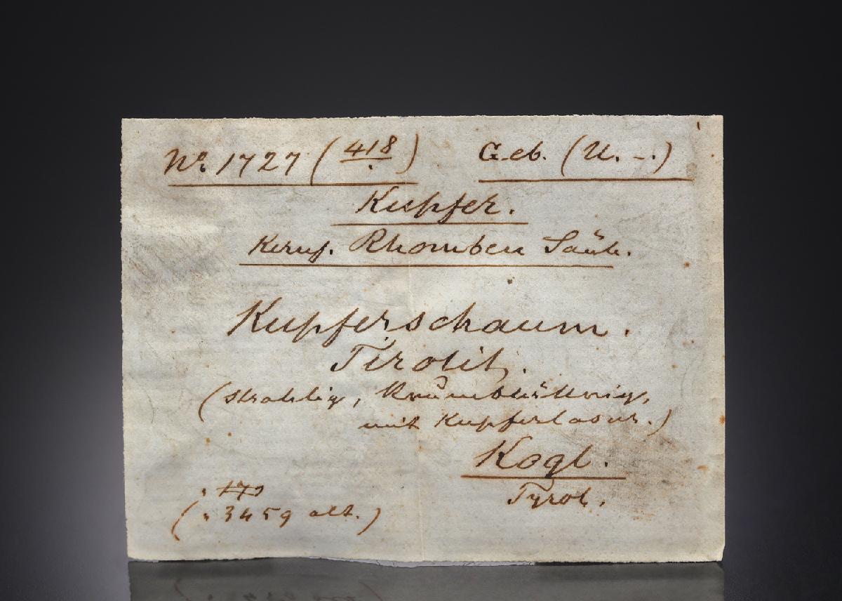 CC27731 specimen image