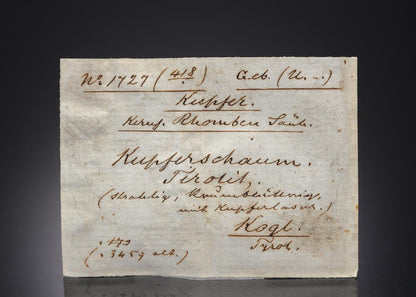 CC27731 specimen image