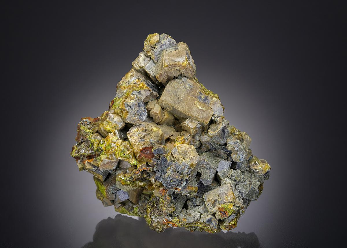 CC27737 specimen image