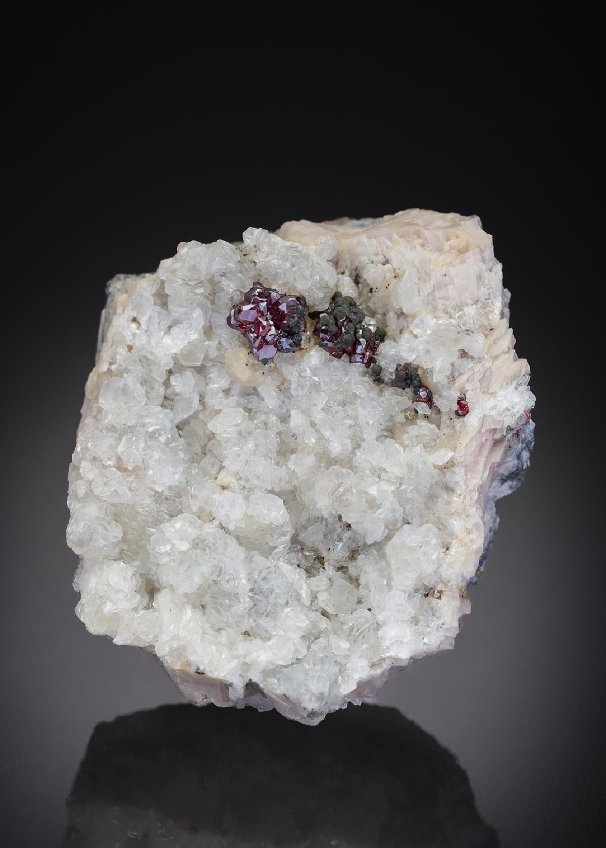 CC27741 specimen image