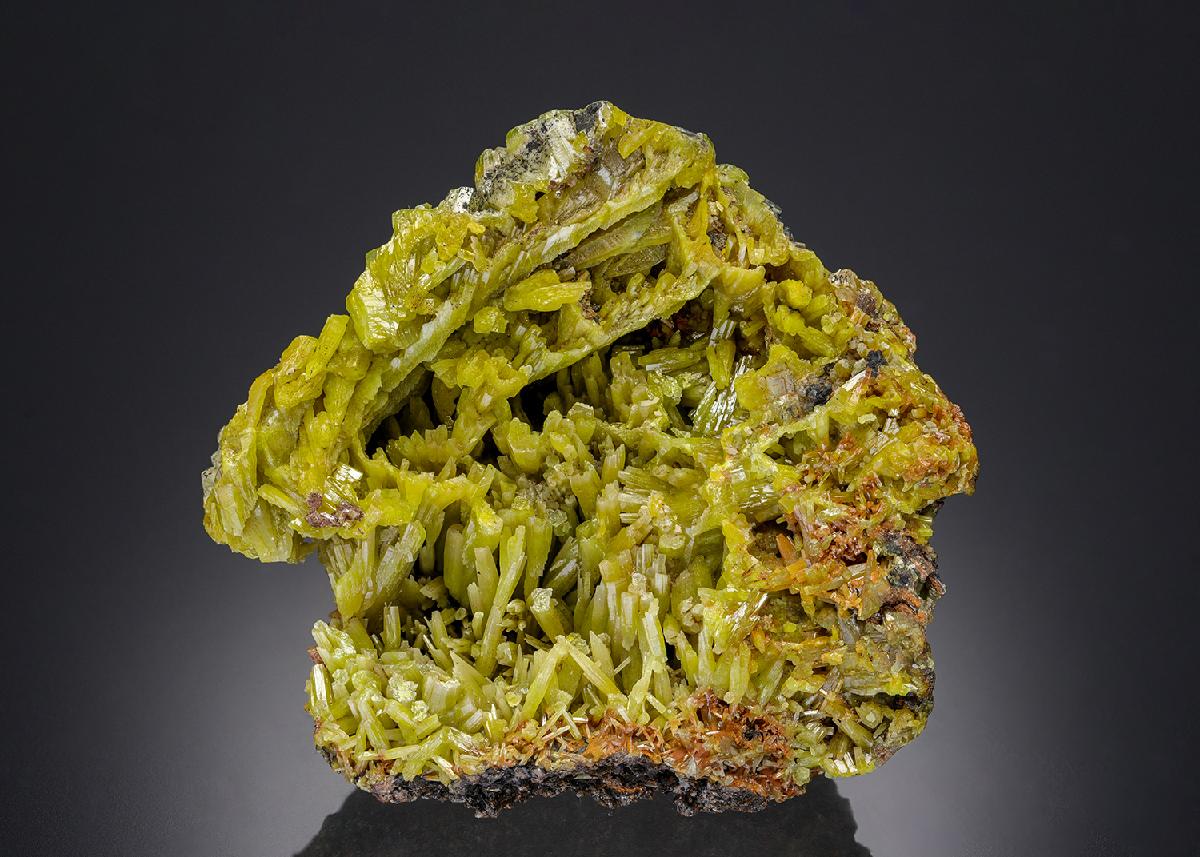 CC27747 specimen image