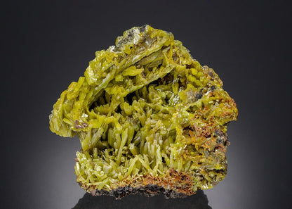 CC27747 specimen image
