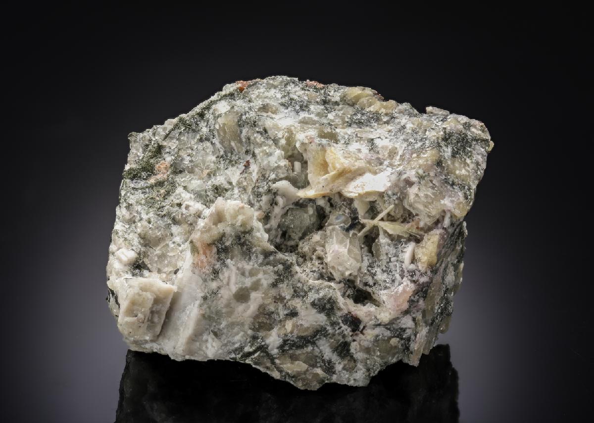 CC27761 specimen image