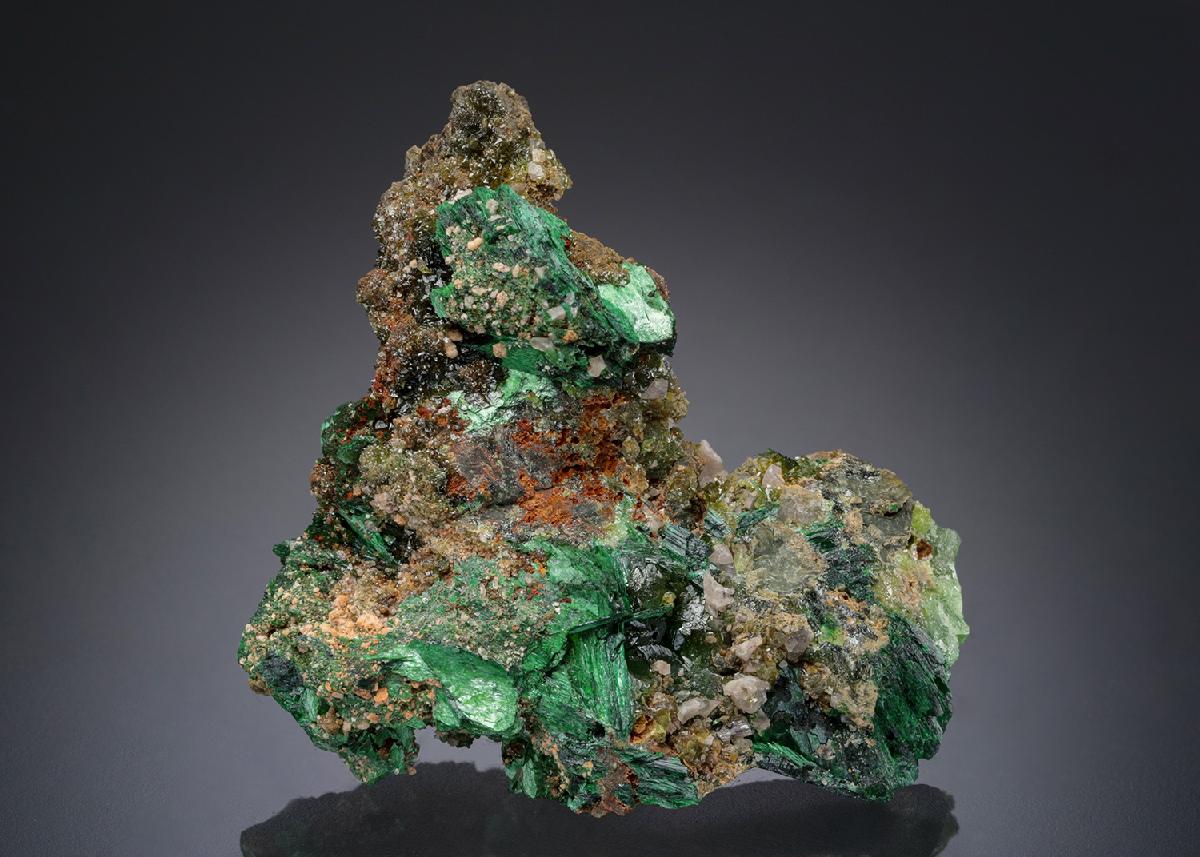 CC27777 specimen image