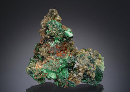 CC27777 specimen image