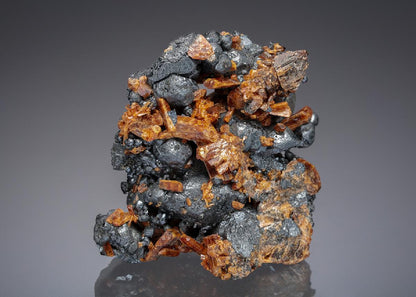 CC27789 specimen image
