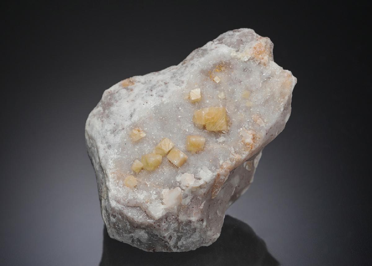 CC27793 specimen image