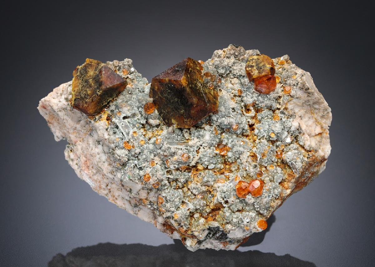 CC27799 specimen image