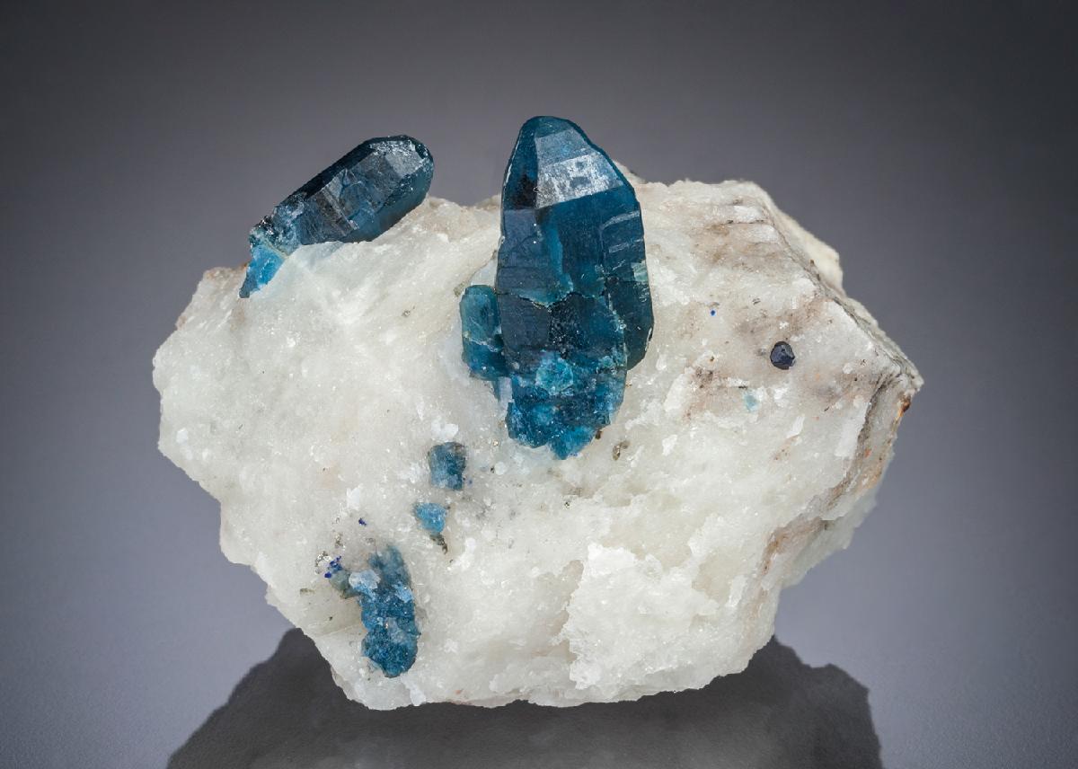 CC27801 specimen image
