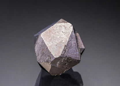CC27811 specimen image