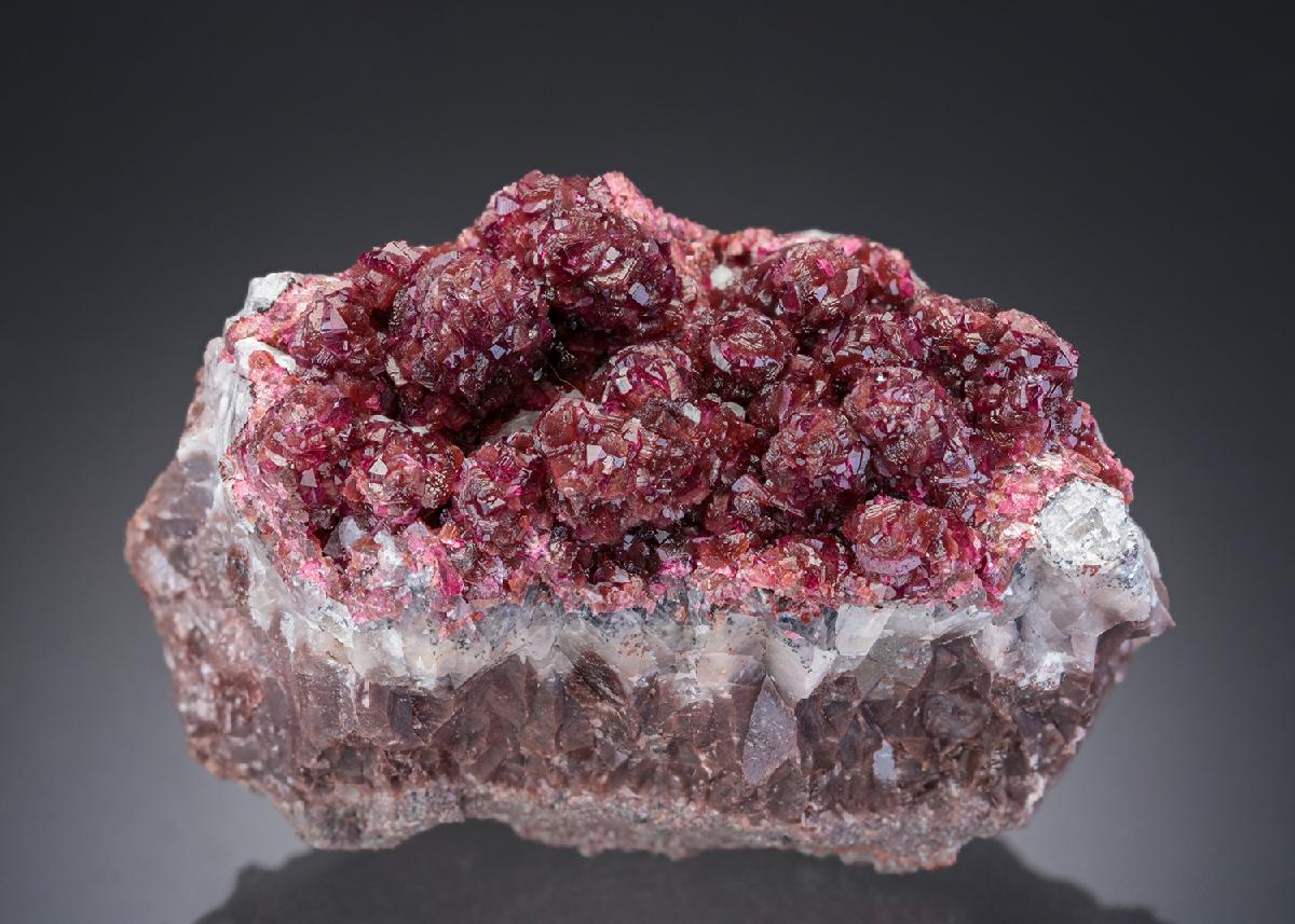 CC27821 specimen image
