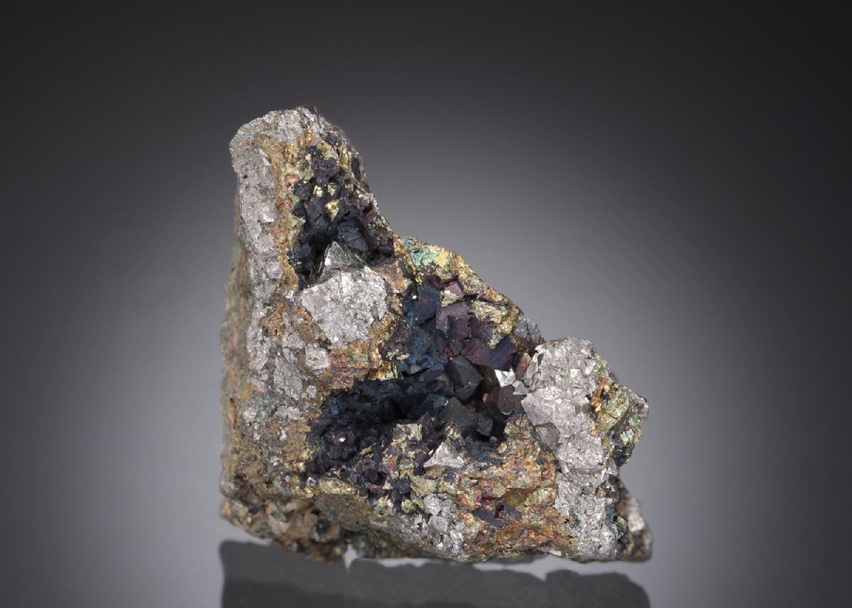 CC27825 specimen image
