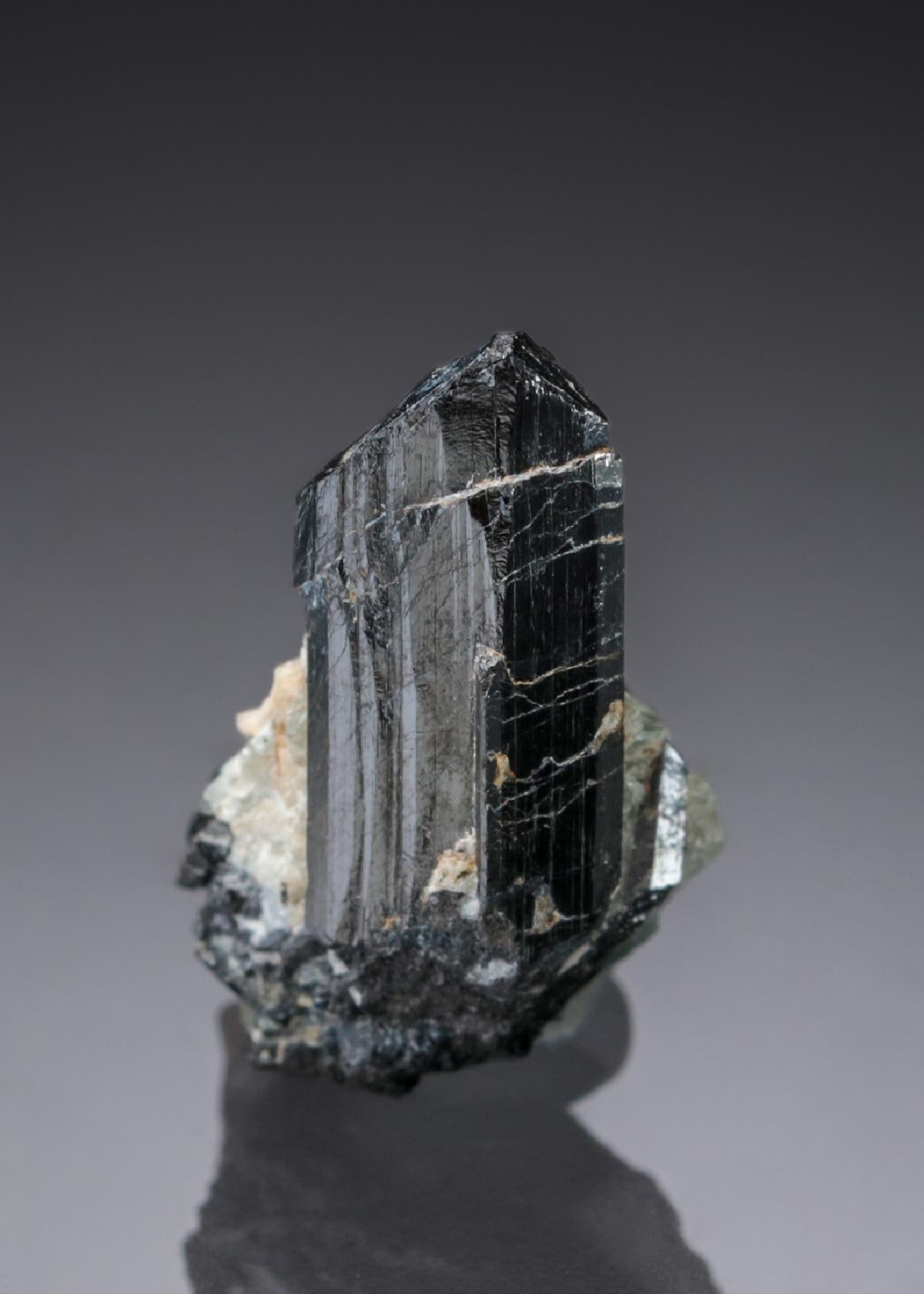 CC27827 specimen image