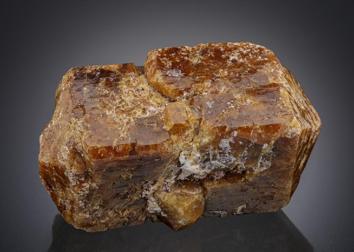 CC27839 specimen image