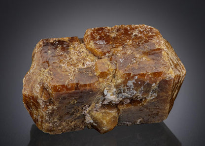 CC27839 specimen image