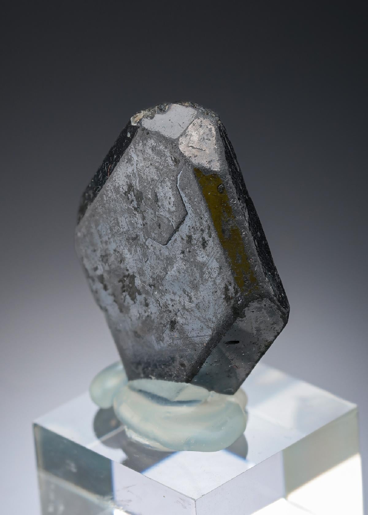 CC27847 specimen image