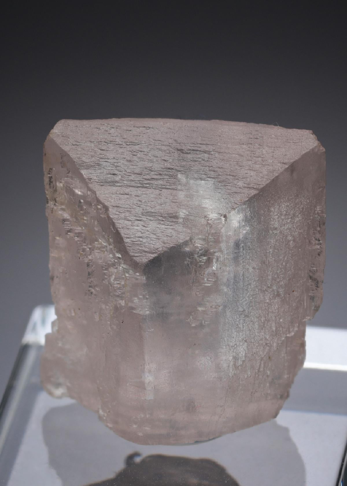 CC27853 specimen image