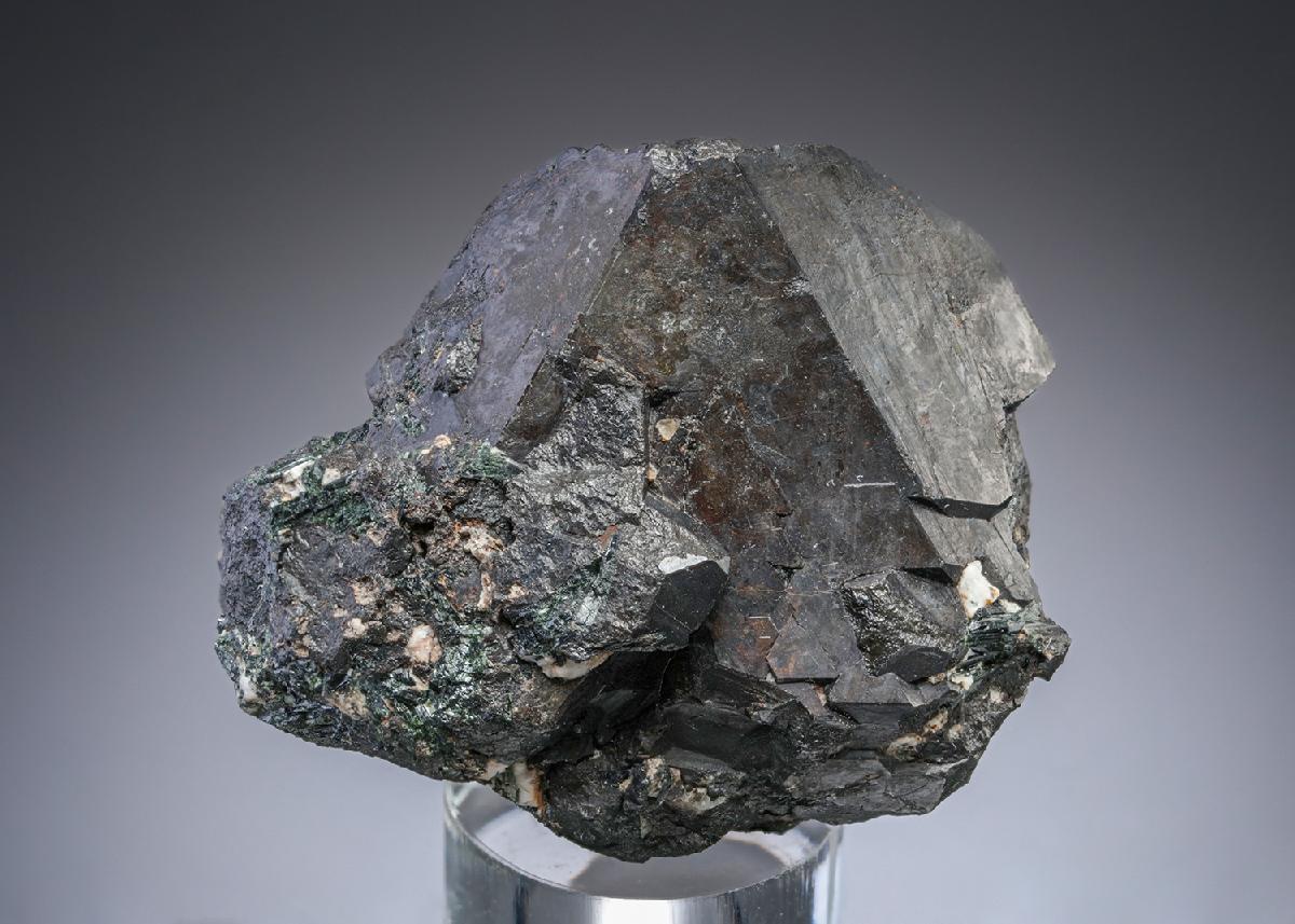 CC27861 specimen image
