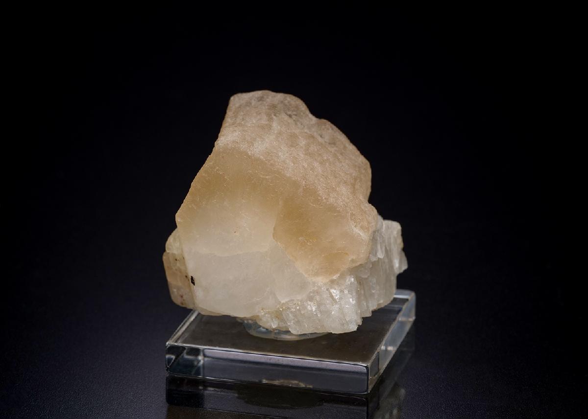CC27869 specimen image