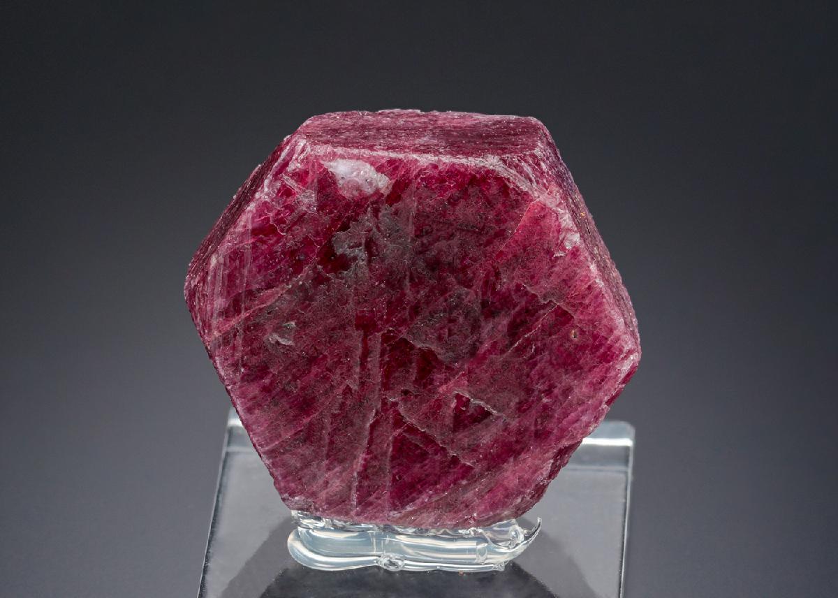 CC27871 specimen image