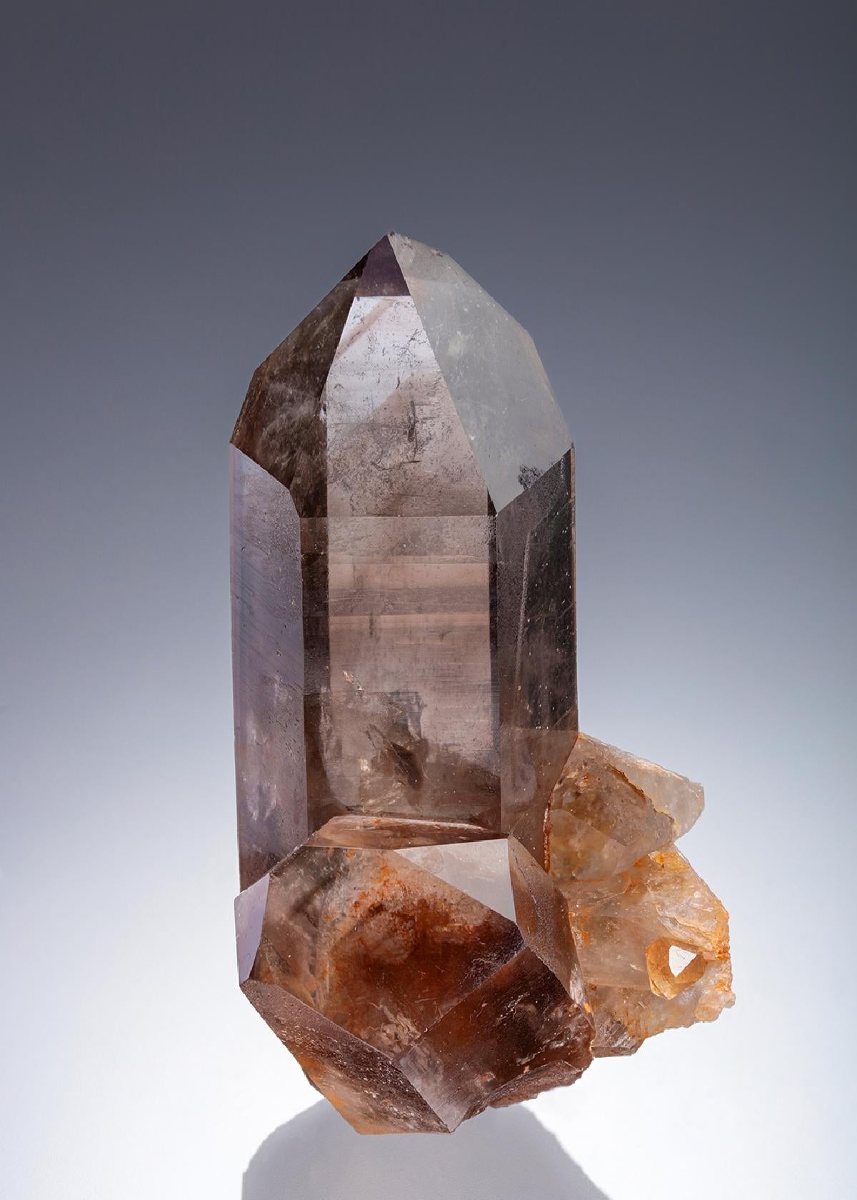 CC27879 specimen image