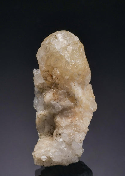 CC27889 specimen image