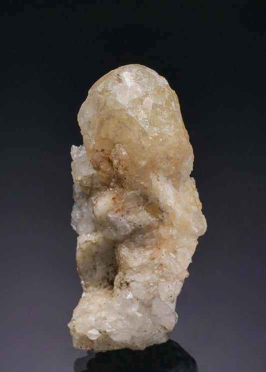 CC27889 specimen image