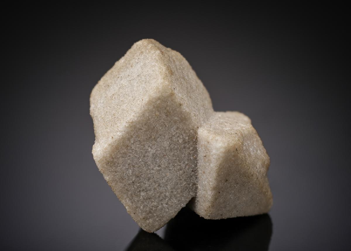 CC27891 specimen image
