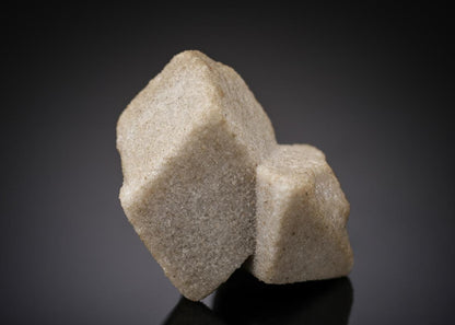 CC27891 specimen image
