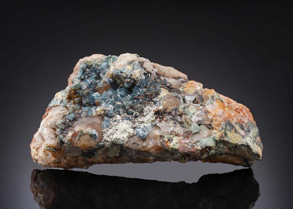 CC27897 specimen image