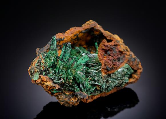 CC2791 specimen image