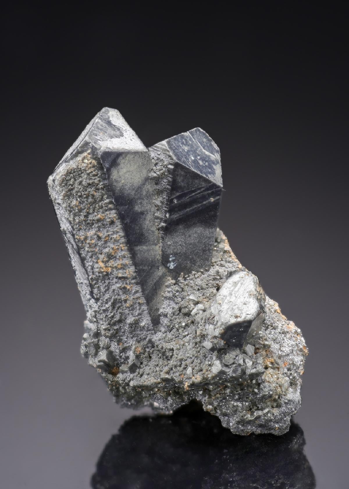 CC27913 specimen image